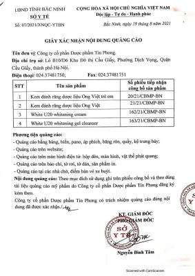 Ong Việt