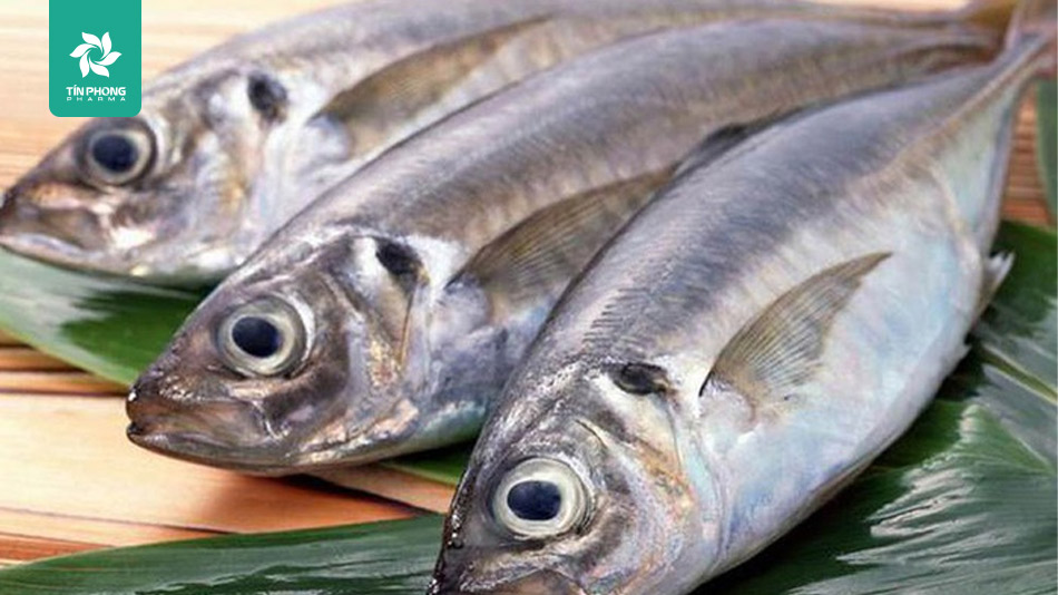 Thực phẩm nên kiêng trước khi mang thai: Cá chứa nhiều thủy ngân