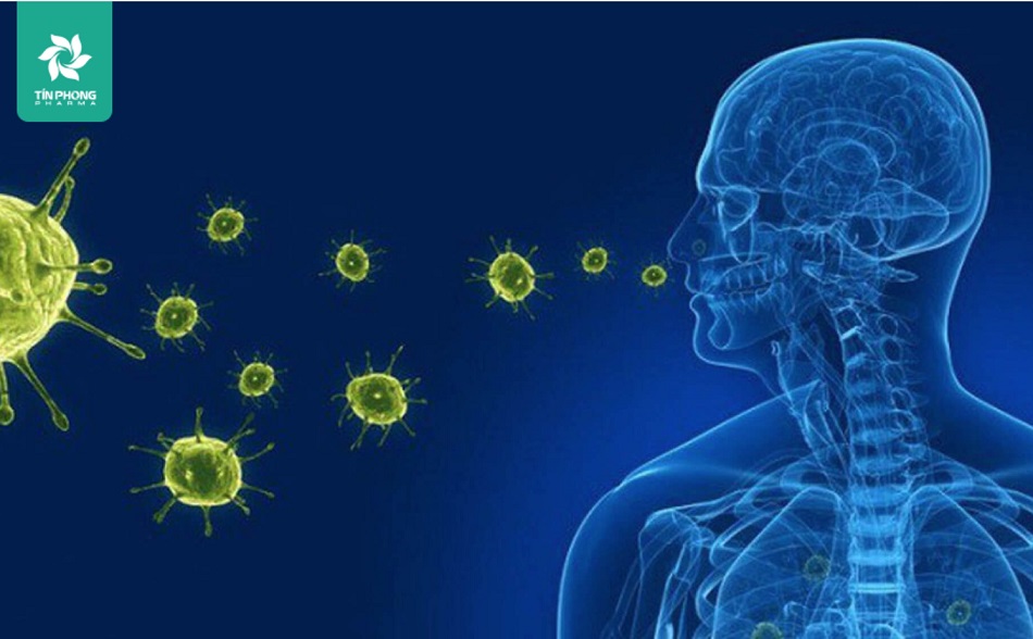 Ho có thể do virus hoặc vi khuẩn xâm nhập vào đường hô hấp gây ra