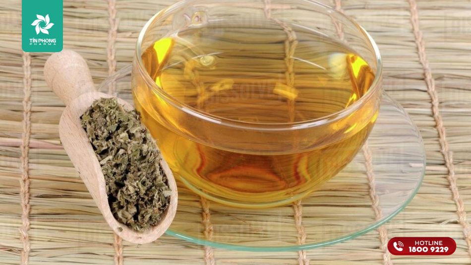 Uống trà ngải cứu khô cải thiện triệu chứng rong kinh