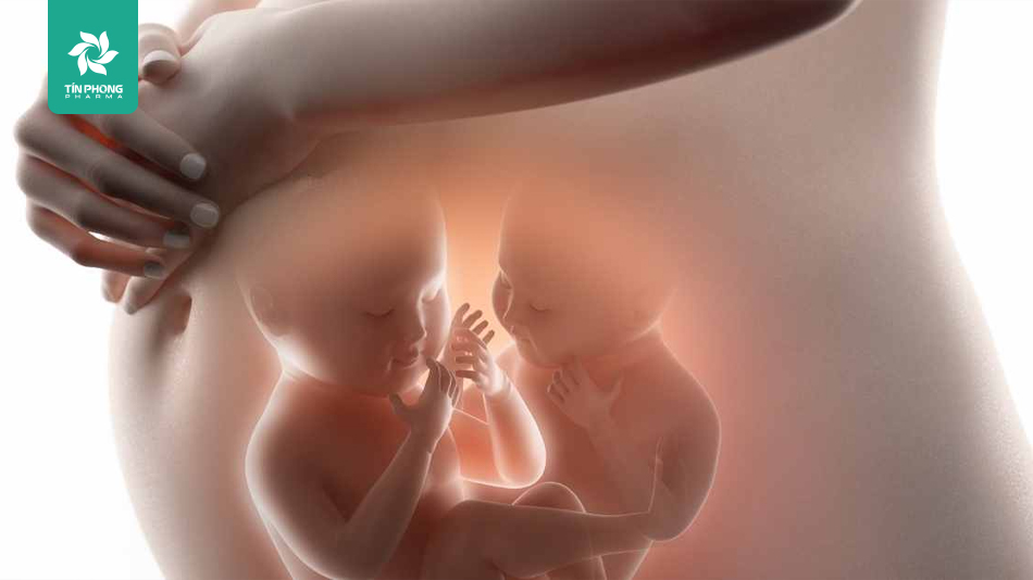 Các máy siêu âm sẽ phát hiện được mẹ mang thai đôi ngay từ tuần thứ 6 hoặc tuần thứ 8 khi mang thai