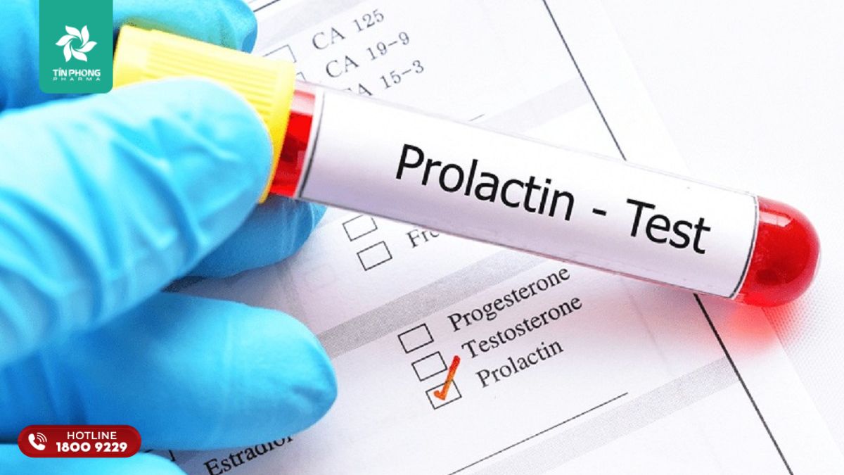 Prolactin là gì? Thế nào là prolactin cao?