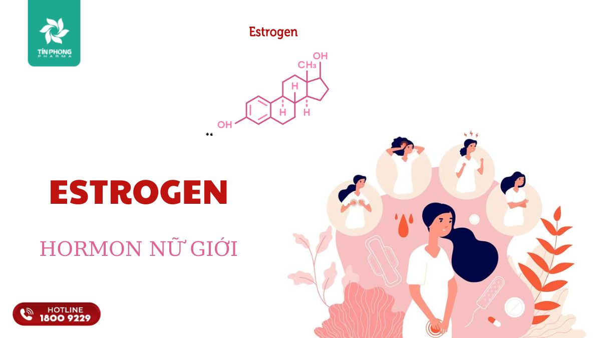 Estrogen - một hormon quan trọng ở nữ giới