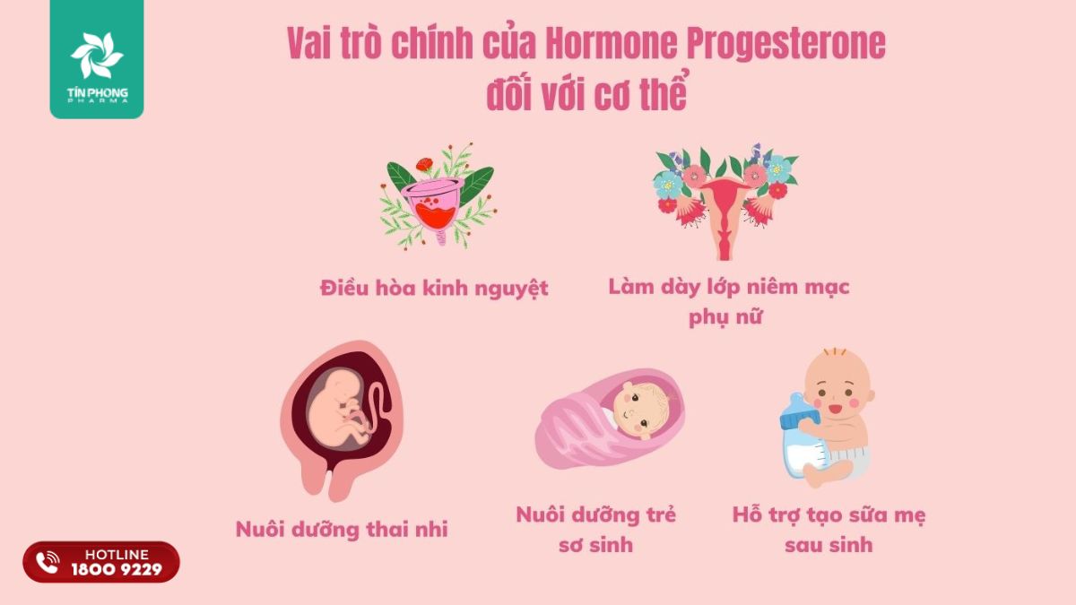 Vai trò của progesterone với phụ nữ